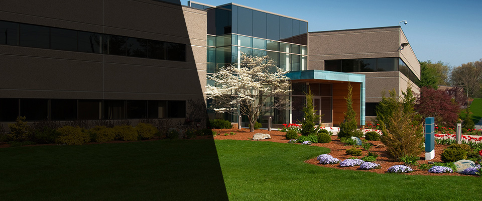 Reno Landscapers