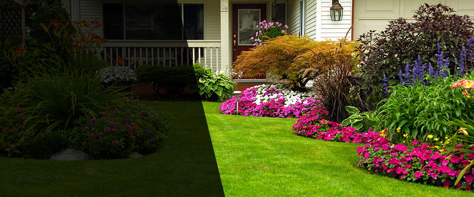 Reno Landscapers