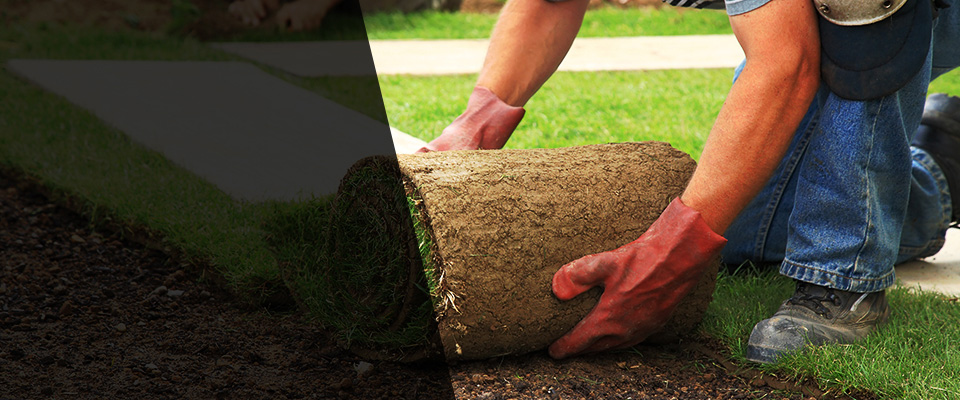 Reno Landscapers